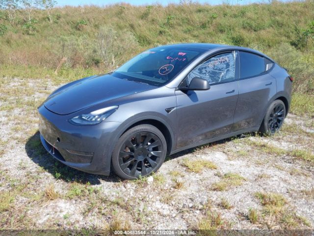 Photo 1 VIN: 5YJYGDEE1MF067482 - TESLA MODEL Y 