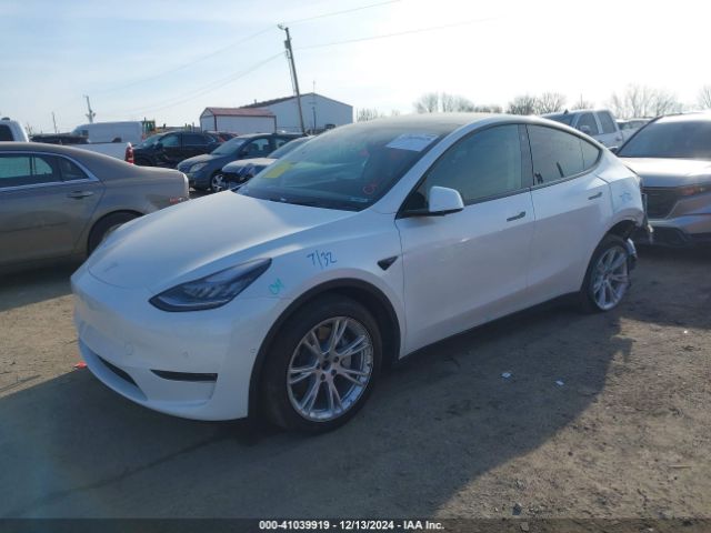 Photo 1 VIN: 5YJYGDEE1MF074948 - TESLA MODEL Y 