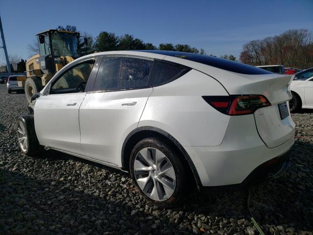 Photo 1 VIN: 5YJYGDEE1MF078644 - TESLA MODEL Y 