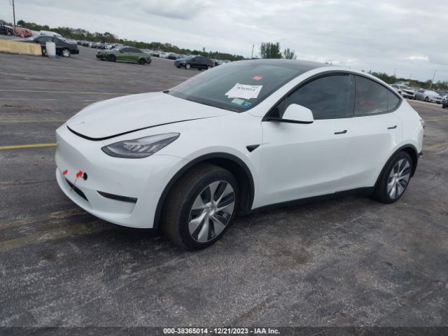 Photo 1 VIN: 5YJYGDEE1MF082502 - TESLA MODEL Y 