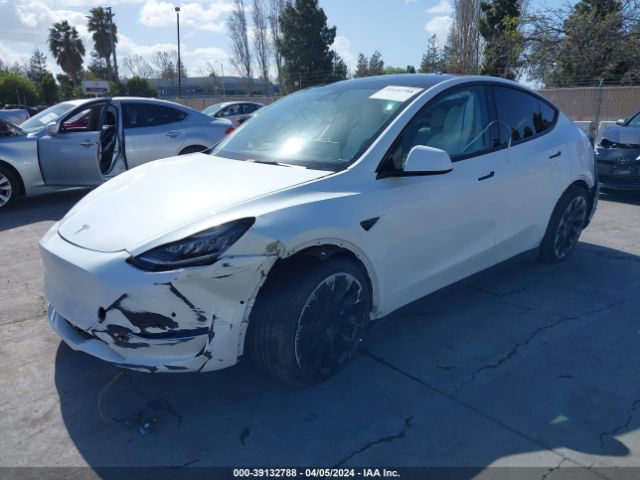 Photo 1 VIN: 5YJYGDEE1MF095766 - TESLA MODEL Y 