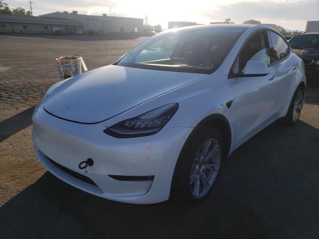 Photo 1 VIN: 5YJYGDEE1MF106281 - TESLA MODEL Y 