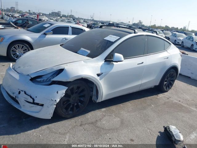 Photo 1 VIN: 5YJYGDEE1MF141466 - TESLA MODEL Y 