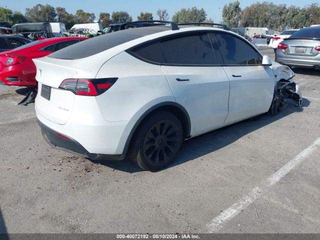 Photo 3 VIN: 5YJYGDEE1MF141466 - TESLA MODEL Y 