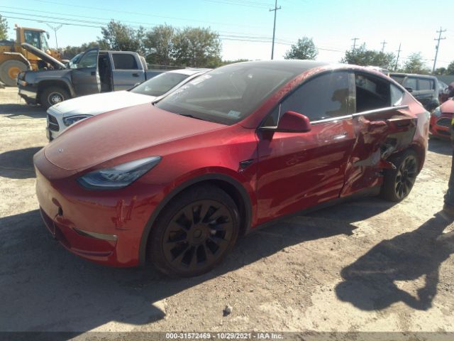 Photo 1 VIN: 5YJYGDEE1MF144495 - TESLA MODEL Y 