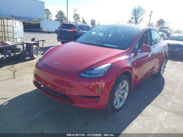 Photo 1 VIN: 5YJYGDEE1MF148126 - TESLA MODEL Y 