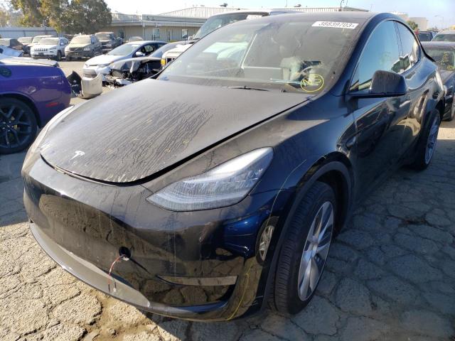 Photo 0 VIN: 5YJYGDEE1MF159529 - TESLA MODEL Y 