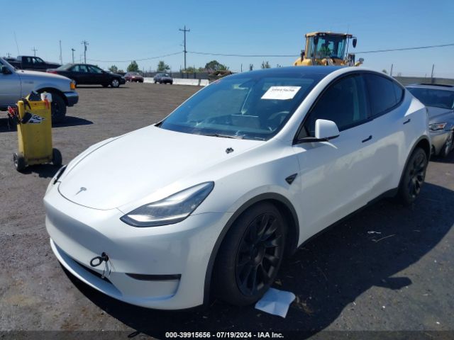 Photo 1 VIN: 5YJYGDEE1MF160910 - TESLA MODEL Y 