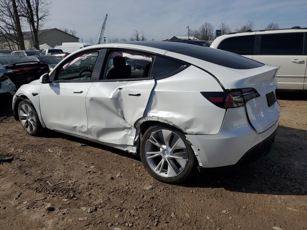 Photo 1 VIN: 5YJYGDEE1MF190165 - TESLA MODEL Y 