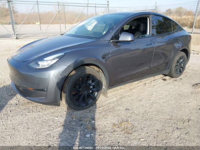 Photo 1 VIN: 5YJYGDEE1MF207255 - TESLA MODEL Y 