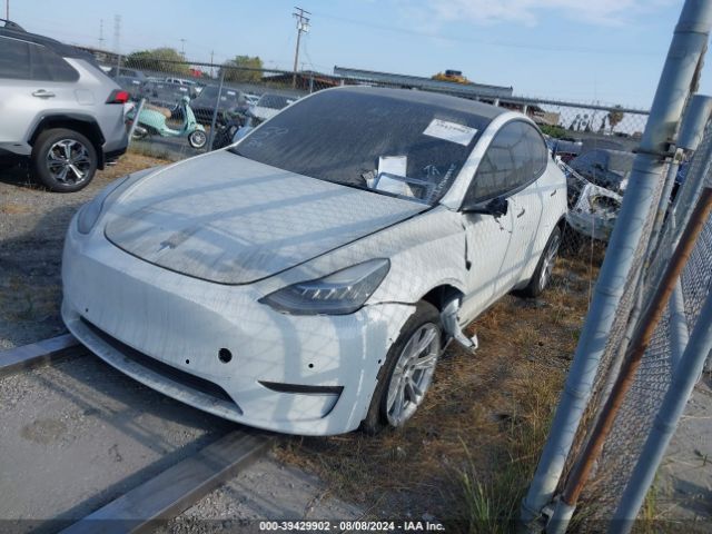 Photo 1 VIN: 5YJYGDEE1MF213038 - TESLA MODEL Y 