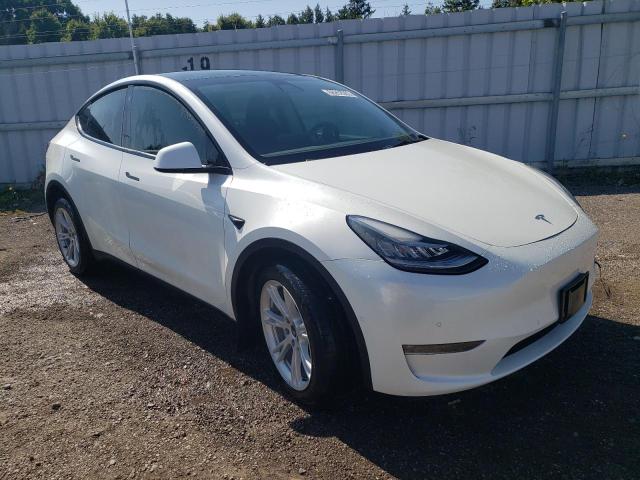 Photo 3 VIN: 5YJYGDEE1MF259761 - TESLA MODEL Y 