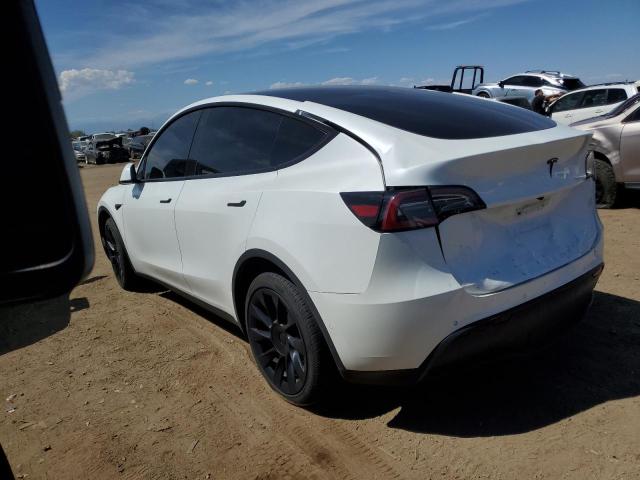 Photo 1 VIN: 5YJYGDEE1MF265074 - TESLA MODEL Y 