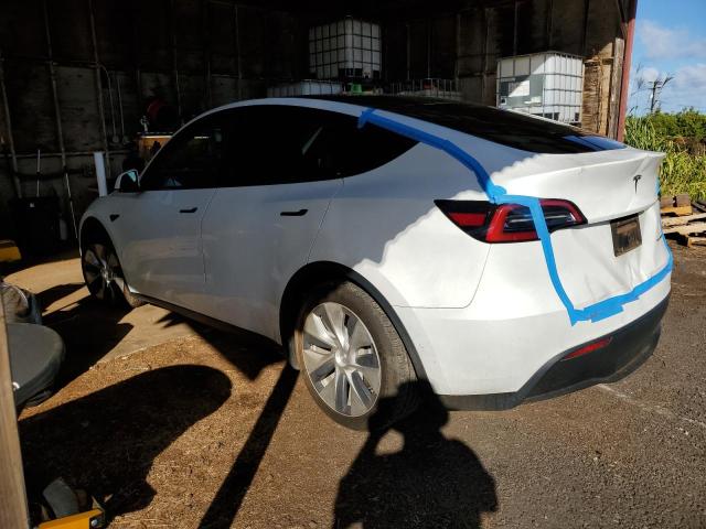 Photo 1 VIN: 5YJYGDEE1MF284921 - TESLA MODEL Y 