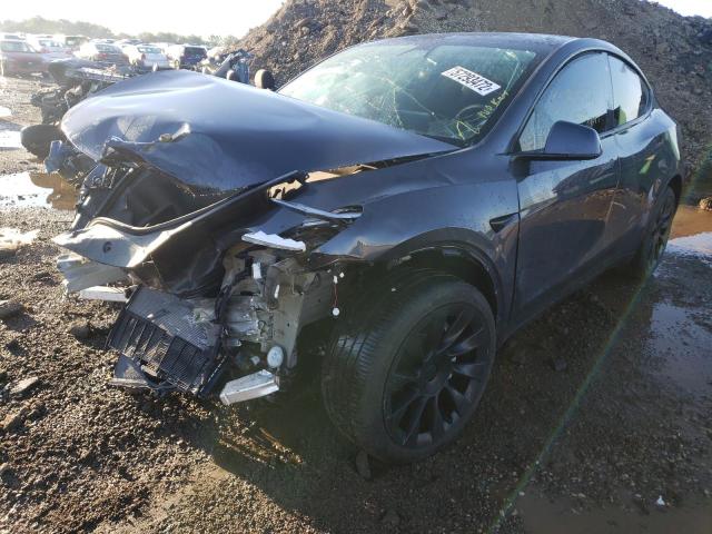 Photo 1 VIN: 5YJYGDEE1MF304956 - TESLA MODEL Y 