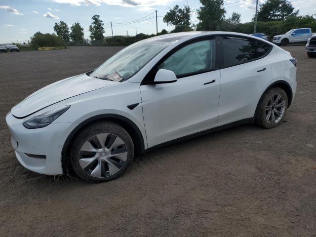 Photo 0 VIN: 5YJYGDEE2LF026213 - TESLA MODEL Y 