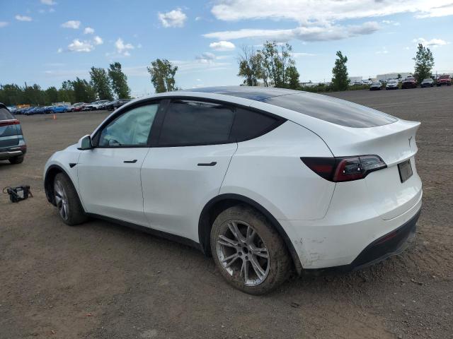 Photo 1 VIN: 5YJYGDEE2LF026213 - TESLA MODEL Y 