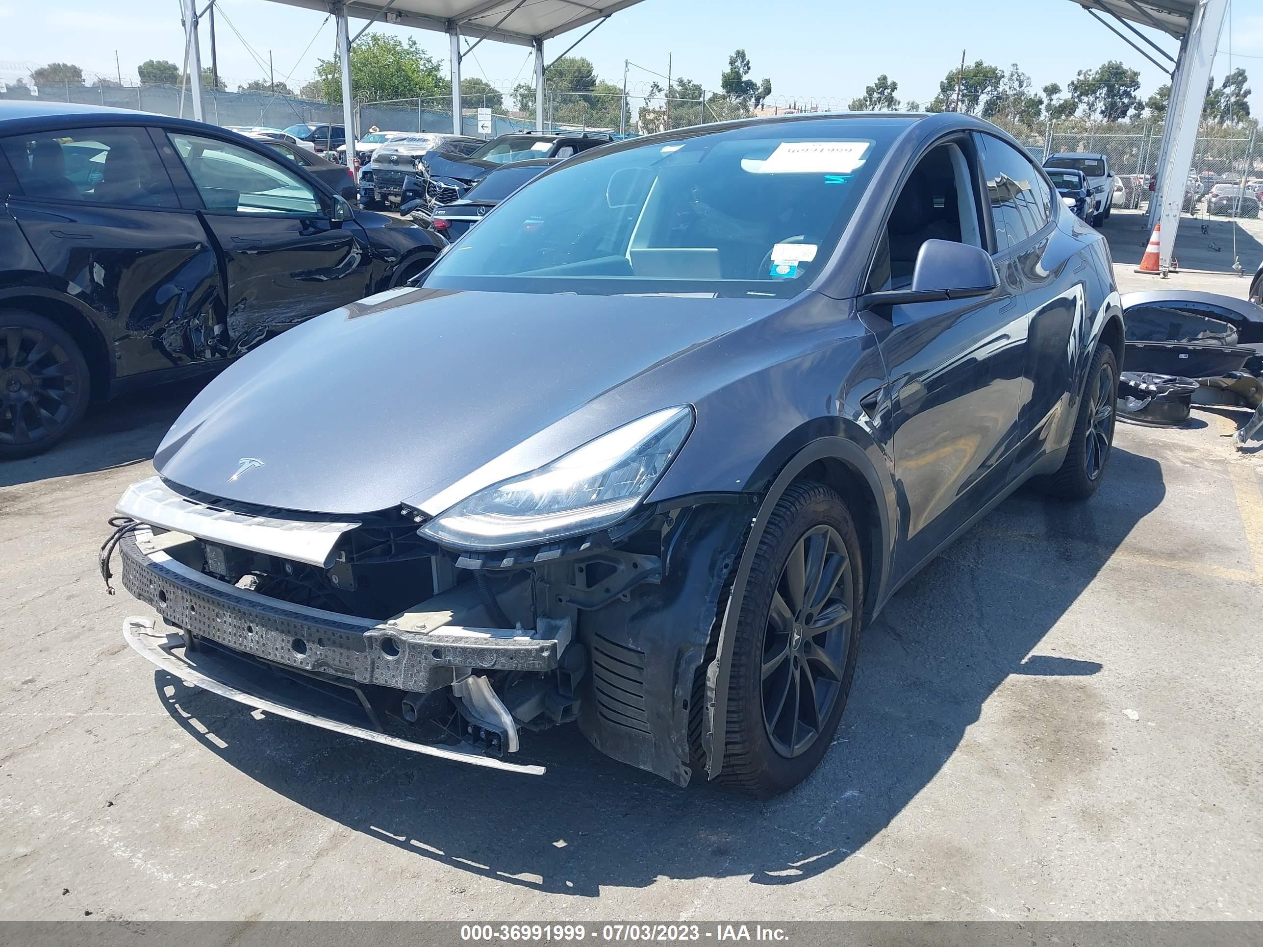 Photo 1 VIN: 5YJYGDEE2LF031590 - TESLA MODEL Y 