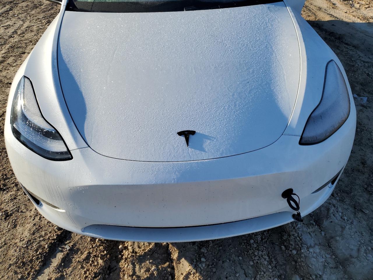 Photo 10 VIN: 5YJYGDEE2LF034005 - TESLA MODEL Y 