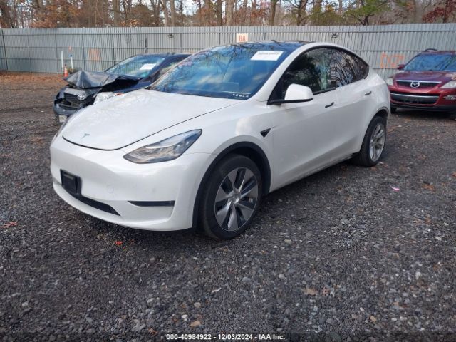 Photo 1 VIN: 5YJYGDEE2LF035929 - TESLA MODEL Y 