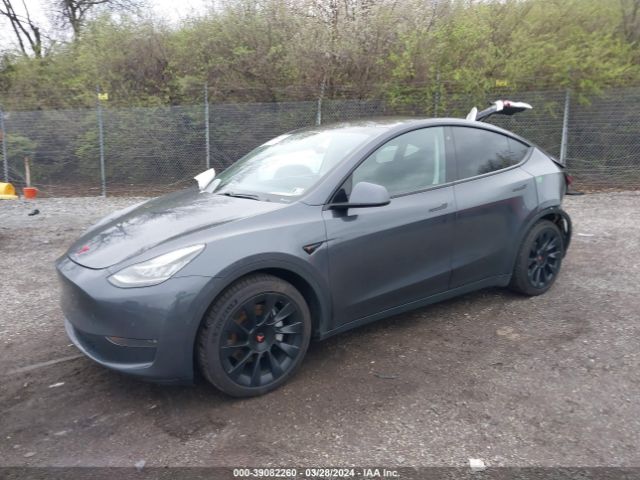 Photo 1 VIN: 5YJYGDEE2LF045859 - TESLA MODEL Y 