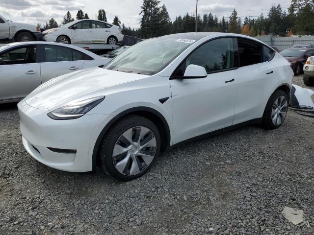 Photo 0 VIN: 5YJYGDEE2LF050558 - TESLA MODEL Y 