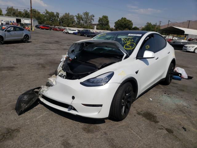 Photo 1 VIN: 5YJYGDEE2LF055730 - TESLA MODEL Y 