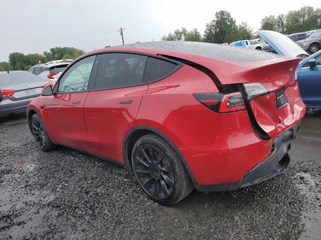 Photo 1 VIN: 5YJYGDEE2LF059440 - TESLA MODEL Y 