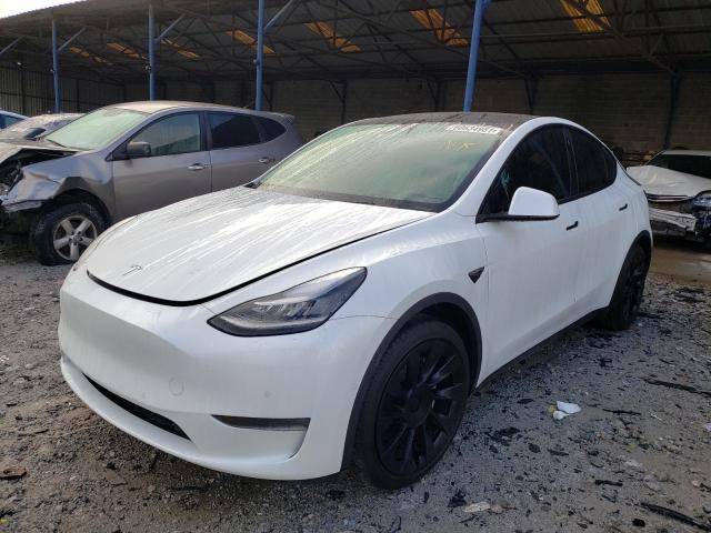 Photo 1 VIN: 5YJYGDEE2MF065837 - TESLA MODEL Y 