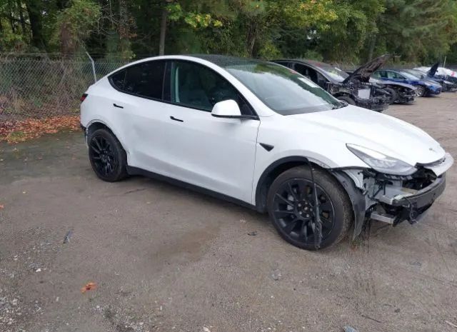 Photo 0 VIN: 5YJYGDEE2MF074893 - TESLA MODEL Y 