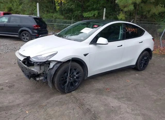 Photo 1 VIN: 5YJYGDEE2MF074893 - TESLA MODEL Y 