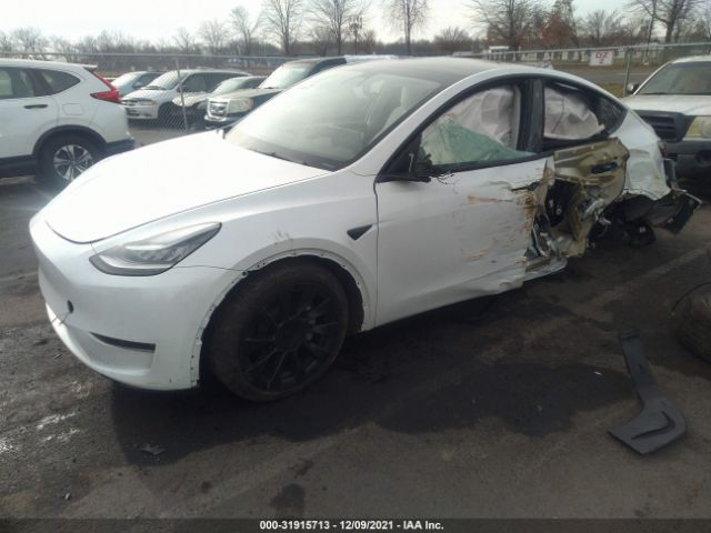 Photo 1 VIN: 5YJYGDEE2MF089880 - TESLA MODEL Y 