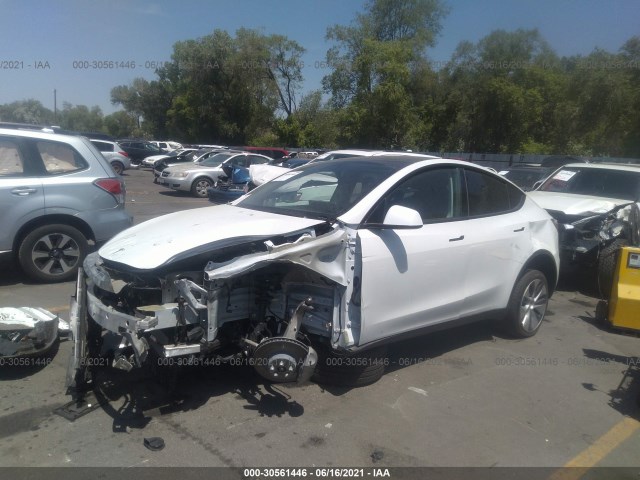 Photo 1 VIN: 5YJYGDEE2MF090205 - TESLA MODEL Y 