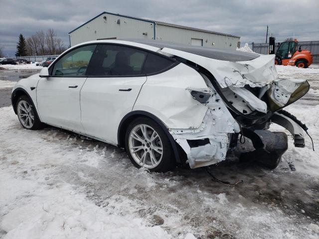 Photo 1 VIN: 5YJYGDEE2MF093444 - TESLA MODEL Y 