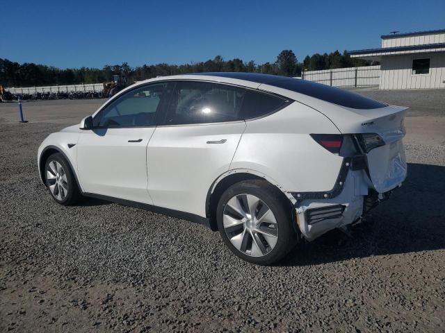 Photo 1 VIN: 5YJYGDEE2MF096912 - TESLA MODEL Y 