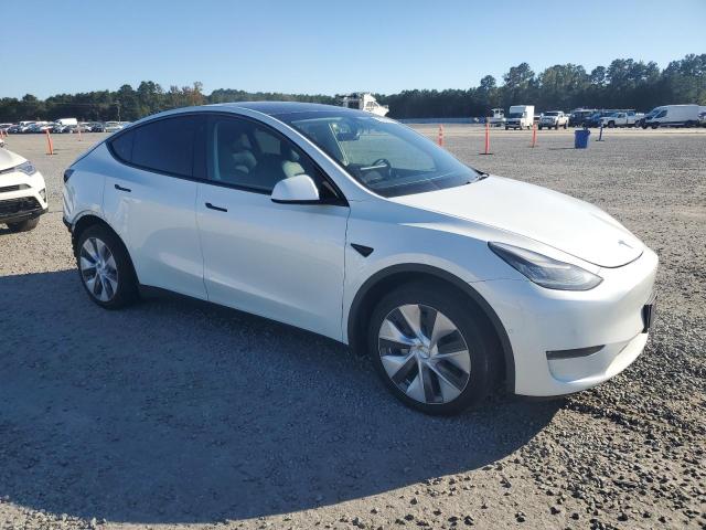 Photo 3 VIN: 5YJYGDEE2MF096912 - TESLA MODEL Y 