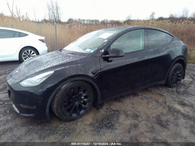 Photo 1 VIN: 5YJYGDEE2MF191003 - TESLA MODEL Y 