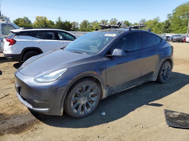 Photo 0 VIN: 5YJYGDEE2MF204252 - TESLA MODEL Y 