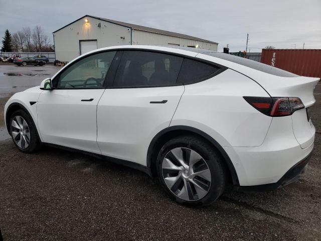 Photo 1 VIN: 5YJYGDEE2MF216644 - TESLA MODEL Y 