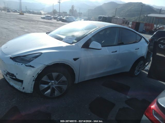 Photo 1 VIN: 5YJYGDEE2MF277394 - TESLA MODEL Y 