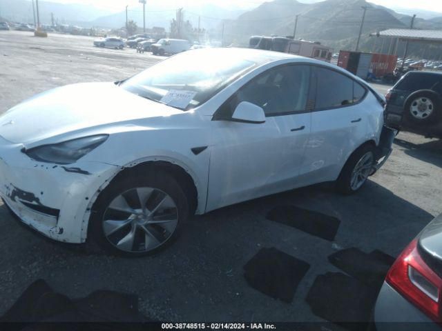 Photo 3 VIN: 5YJYGDEE2MF277394 - TESLA MODEL Y 