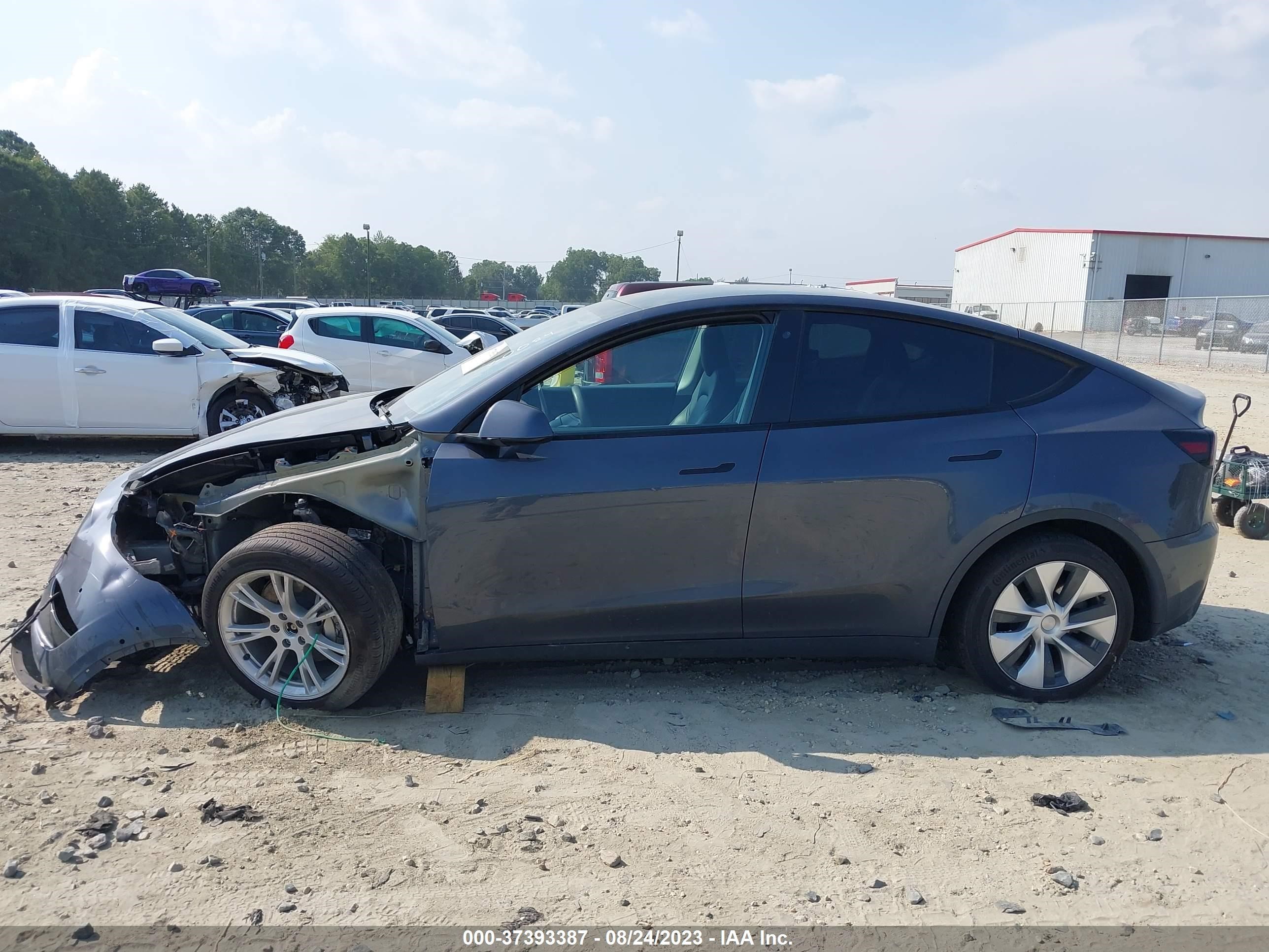 Photo 12 VIN: 5YJYGDEE3LF010084 - TESLA MODEL Y 