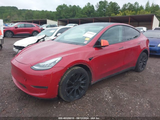 Photo 1 VIN: 5YJYGDEE3LF012661 - TESLA MODEL Y 