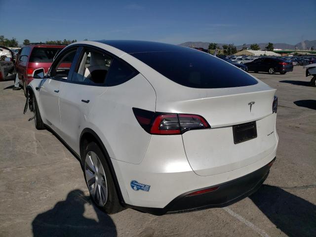 Photo 1 VIN: 5YJYGDEE3LF023319 - TESLA MODEL Y 