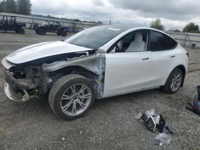 Photo 0 VIN: 5YJYGDEE3LF023935 - TESLA MODEL Y 