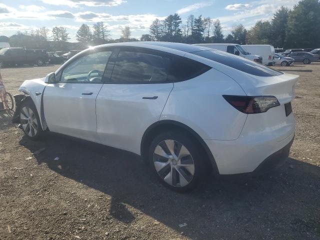 Photo 1 VIN: 5YJYGDEE3LF027631 - TESLA MODEL Y 