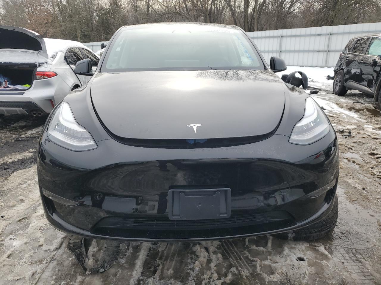 Photo 4 VIN: 5YJYGDEE3LF031419 - TESLA MODEL Y 