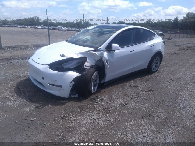 Photo 1 VIN: 5YJYGDEE3LF032201 - TESLA MODEL Y 