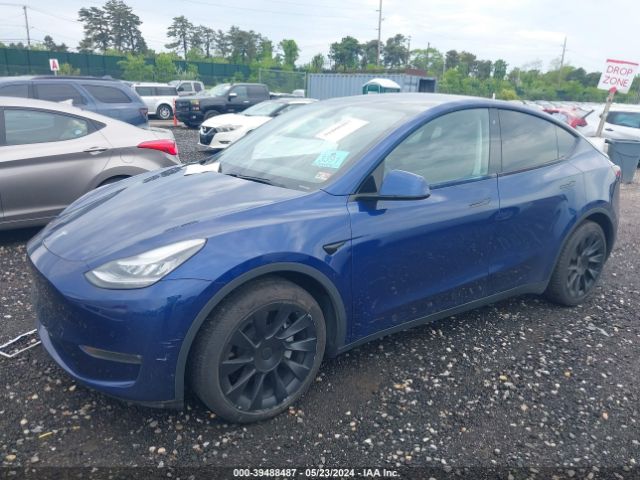 Photo 1 VIN: 5YJYGDEE3LF038595 - TESLA MODEL Y 