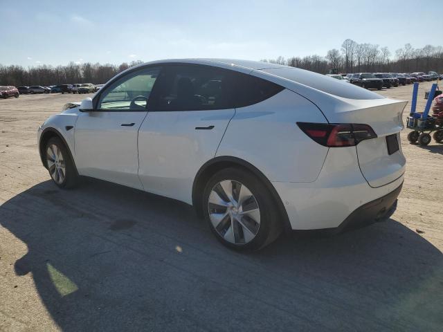 Photo 1 VIN: 5YJYGDEE3MF096983 - TESLA MODEL Y 